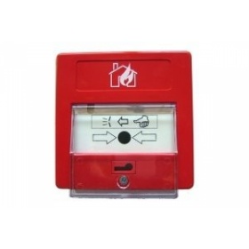 BOTONEIRA ANAL�GICA