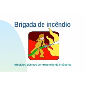 BRIGADAS CONTRA INCNDIOS